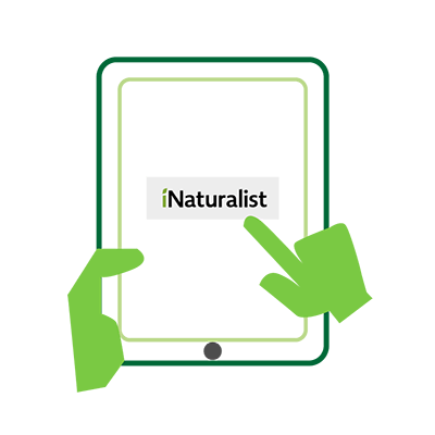 inaturalist-ee-9bit